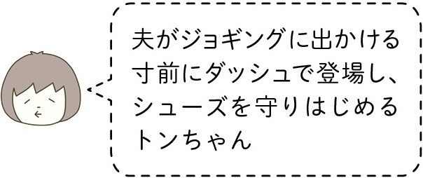 動物,犬,猫,しつけ,飼い方,育て方,病気,健康