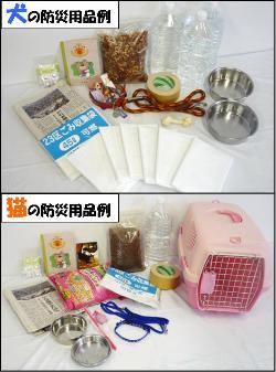 動物,犬,猫,しつけ,飼い方,育て方,病気,健康