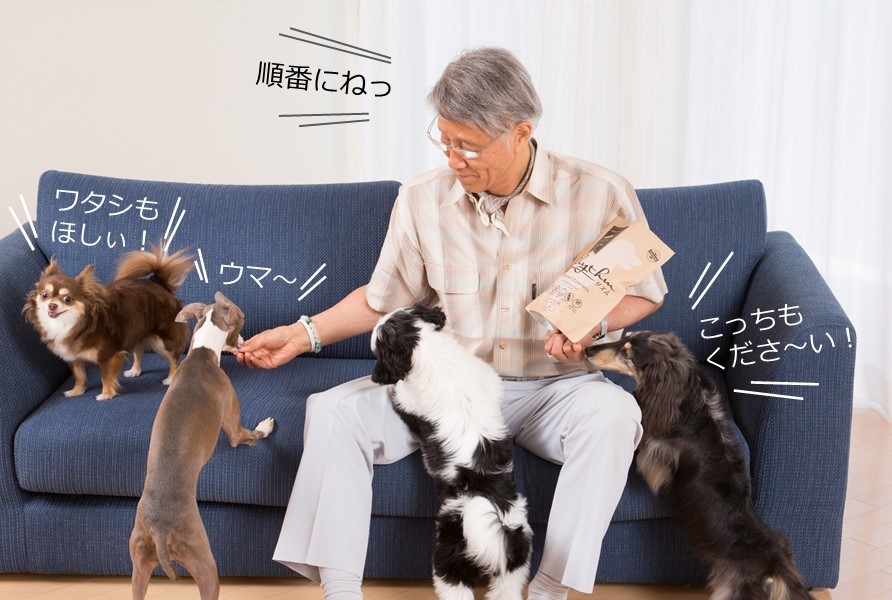 動物,犬,猫,しつけ,飼い方,育て方,病気,健康