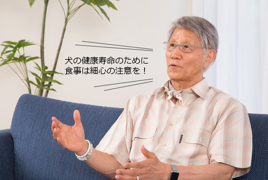 動物,犬,猫,しつけ,飼い方,育て方,病気,健康