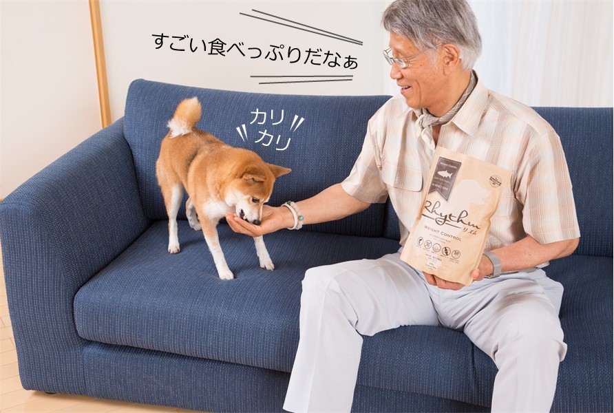 動物,犬,猫,しつけ,飼い方,育て方,病気,健康