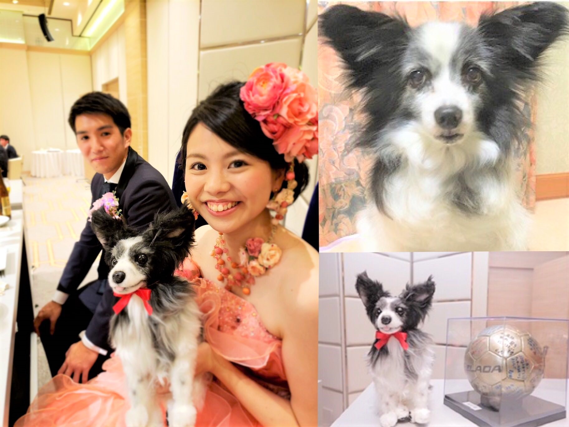 「結婚式を一緒に挙げようね」愛犬と花嫁の約束を『オーダーメイドぬいぐるみ』が叶える