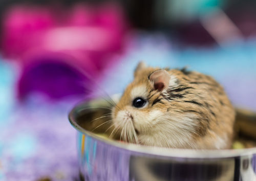 Kristi Blokhin/ Shutterstock.com