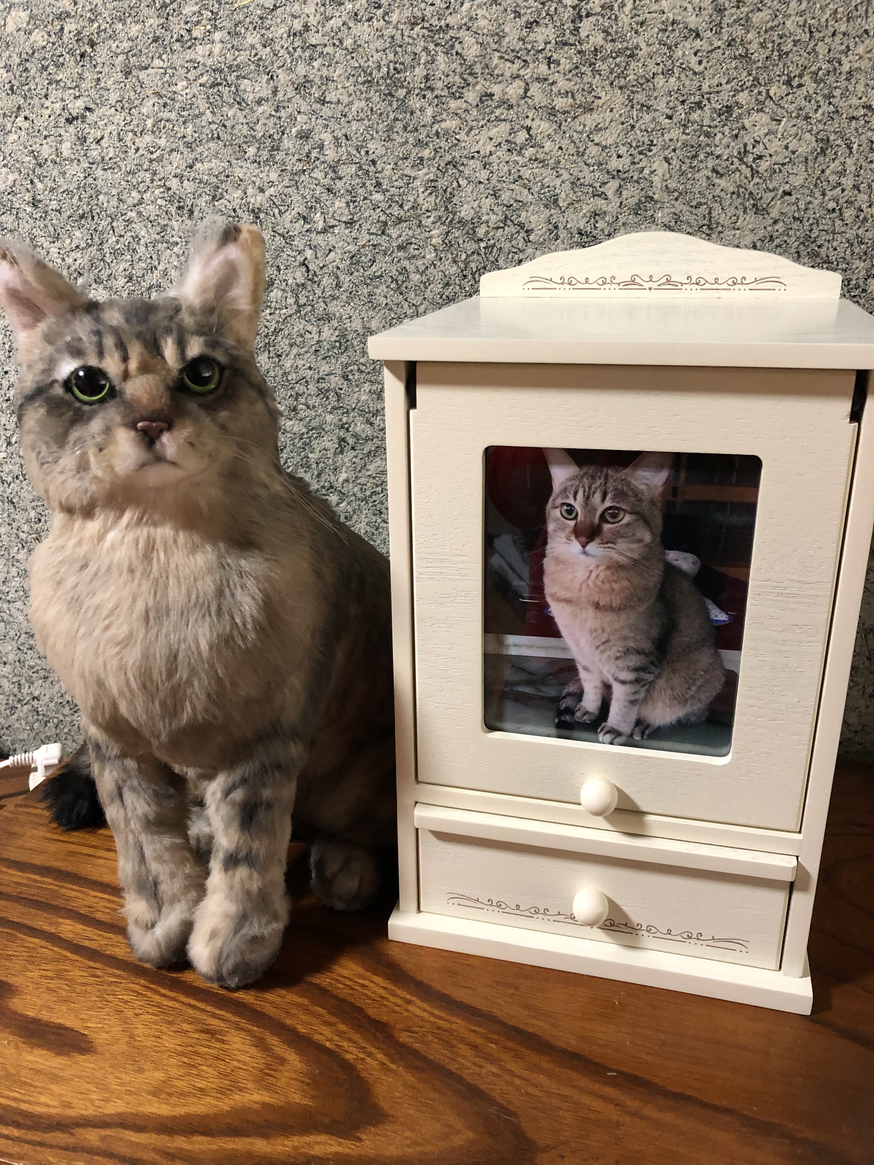 猫 ぬいぐるみ オーダーメイド オーダーメイドぬいぐるみ PECOHug ペコハグ