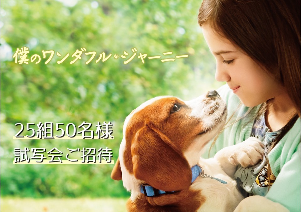 『僕のワンダフル・ジャーニー』試写会にご招待!