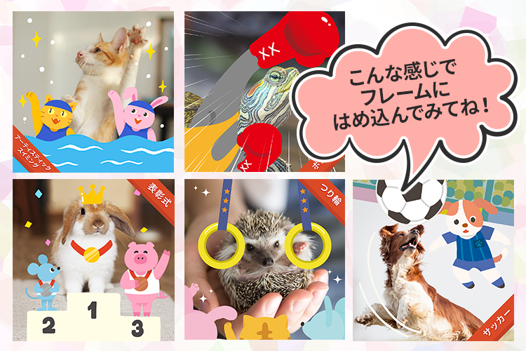 動物,犬,猫,しつけ,飼い方,育て方,病気,健康