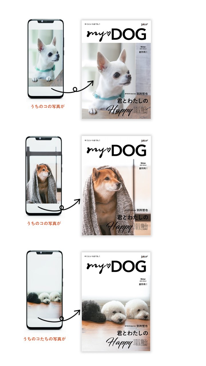 愛犬の1年は、4~7年ともいわれます。うちのコと家族の1年を、春夏秋冬の季節に1回、表紙に残して、思い出を永遠に刻みませんか?。