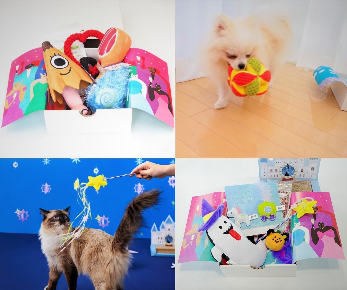 動物,犬,猫,しつけ,飼い方,育て方,病気,健康