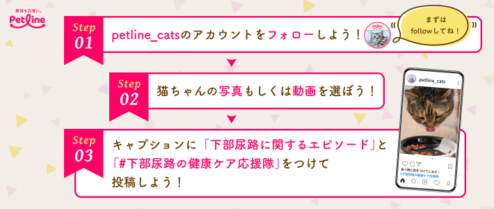 動物,犬,猫,しつけ,飼い方,育て方,病気,健康