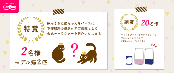 動物,犬,猫,しつけ,飼い方,育て方,病気,健康