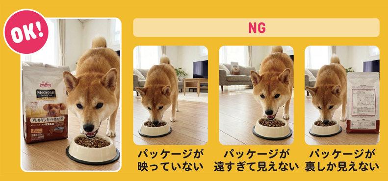 動物,犬,猫,しつけ,飼い方,育て方,病気,健康