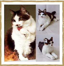 動物,犬,猫,しつけ,飼い方,育て方,病気,健康