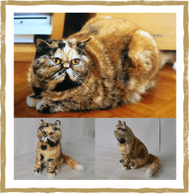 動物,犬,猫,しつけ,飼い方,育て方,病気,健康