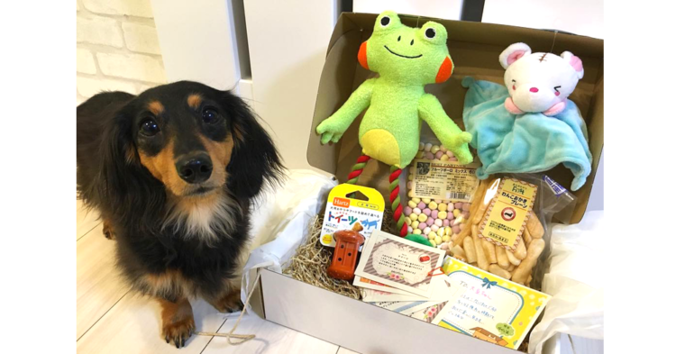 【PECOBOX8月号 ♡ 受付開始】今回のテーマは、「ハッピーサマー」しあわせつまったペコのハコ。