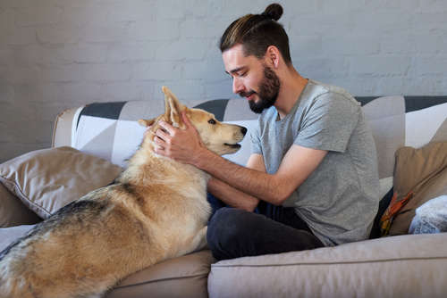動物,犬,猫,しつけ,飼い方,育て方,病気,健康