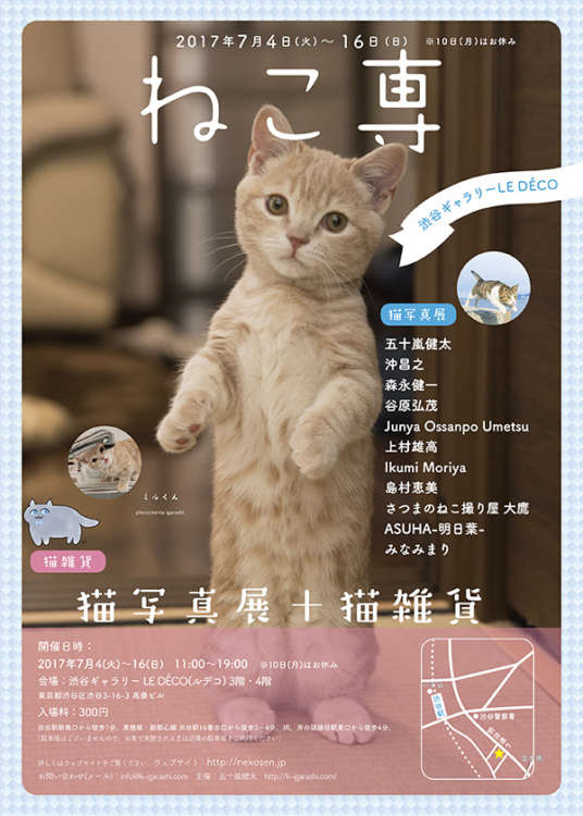動物,犬,猫,しつけ,飼い方,育て方,病気,健康