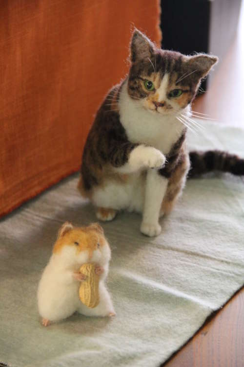 動物,犬,猫,しつけ,飼い方,育て方,病気,健康