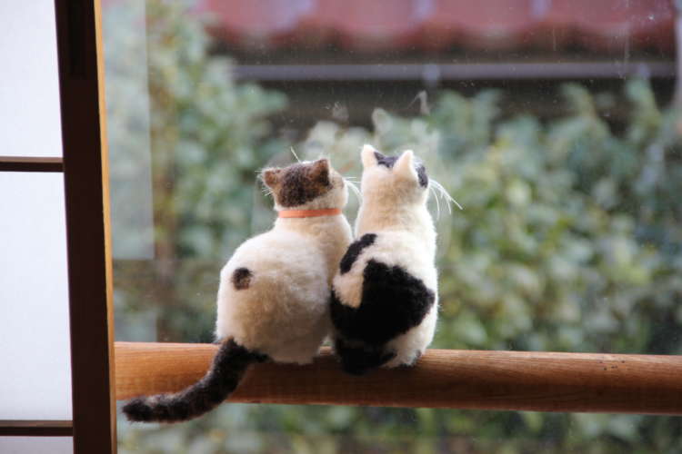 動物,犬,猫,しつけ,飼い方,育て方,病気,健康