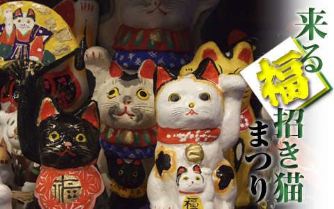 動物,犬,猫,しつけ,飼い方,育て方,病気,健康