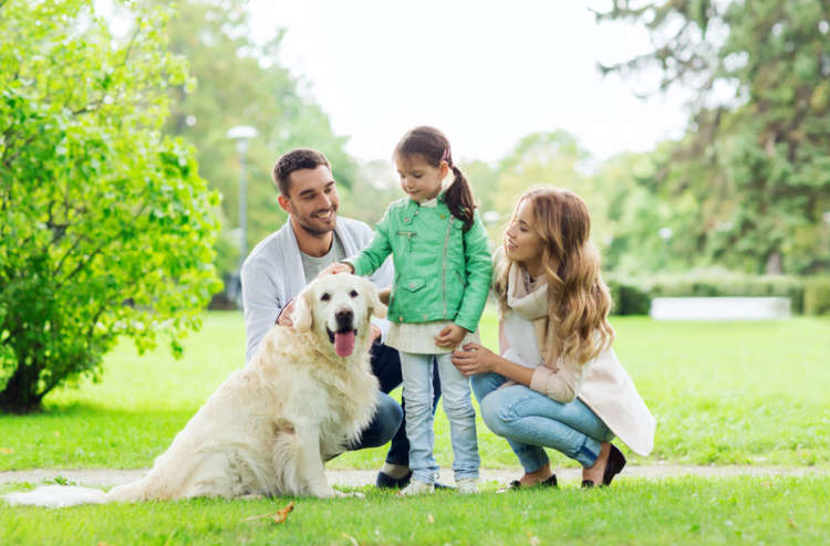 犬を飼うことはできないけど遊びたい! 犬のレンタルについて