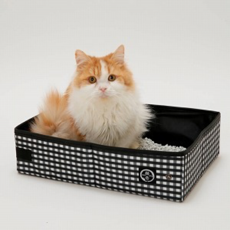 動物,犬,猫,しつけ,飼い方,育て方,病気,健康