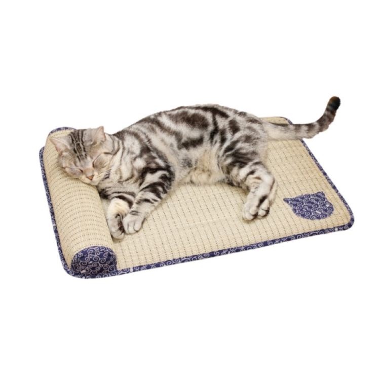 動物,犬,猫,しつけ,飼い方,育て方,病気,健康