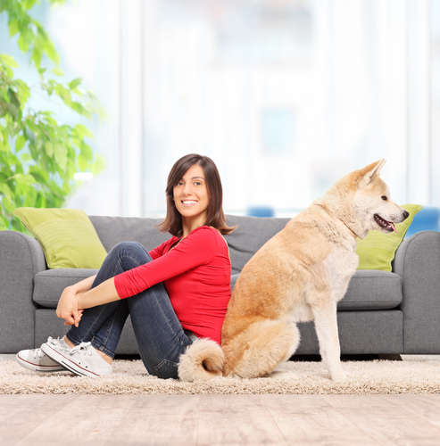 動物,犬,猫,しつけ,飼い方,育て方,病気,健康