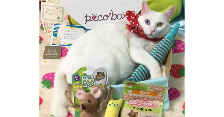 【PECOBOX9月号 ♡ 受付開始】今回のテーマは、「いろんな秋」 しあわせつまったペコのハコ。