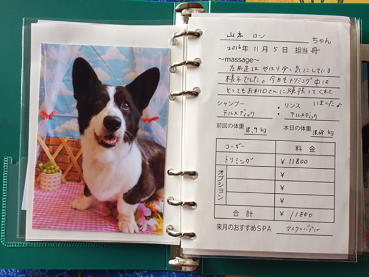 動物,犬,猫,しつけ,飼い方,育て方,病気,健康