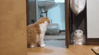 動物,犬,猫,しつけ,飼い方,育て方,病気,健康