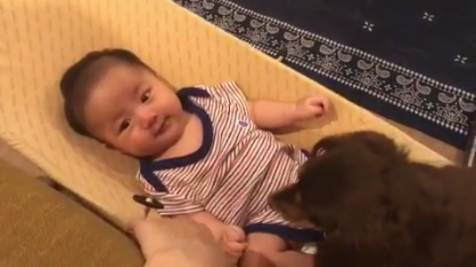 動物,犬,猫,しつけ,飼い方,育て方,病気,健康