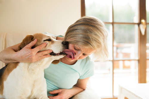 動物,犬,猫,しつけ,飼い方,育て方,病気,健康