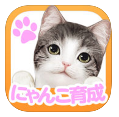 動物,犬,猫,しつけ,飼い方,育て方,病気,健康