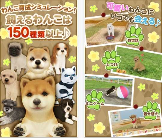 動物,犬,猫,しつけ,飼い方,育て方,病気,健康
