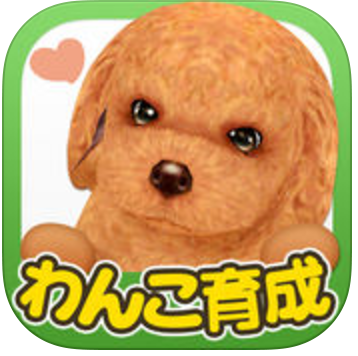 動物,犬,猫,しつけ,飼い方,育て方,病気,健康
