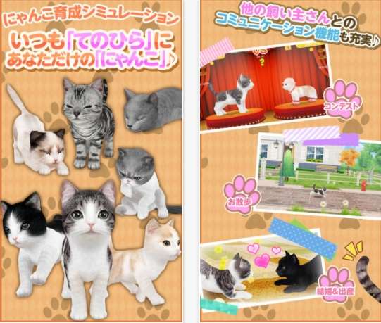 動物,犬,猫,しつけ,飼い方,育て方,病気,健康