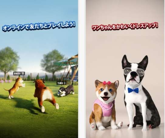 動物,犬,猫,しつけ,飼い方,育て方,病気,健康