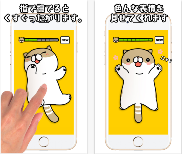 動物,犬,猫,しつけ,飼い方,育て方,病気,健康