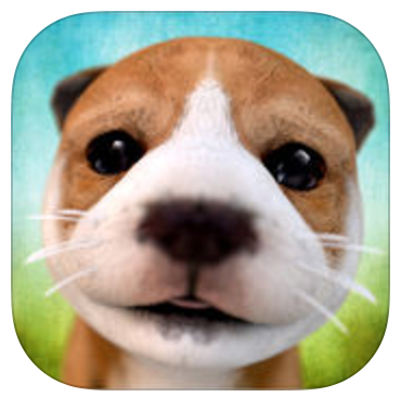 動物,犬,猫,しつけ,飼い方,育て方,病気,健康