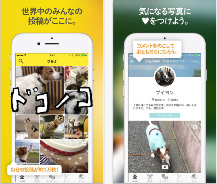 動物,犬,猫,しつけ,飼い方,育て方,病気,健康