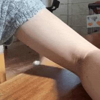 動物,犬,猫,しつけ,飼い方,育て方,病気,健康