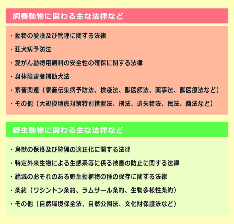 動物,犬,猫,しつけ,飼い方,育て方,病気,健康