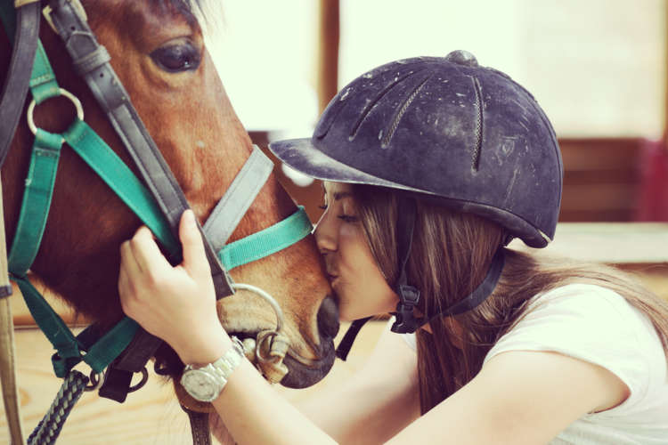 動物,犬,猫,しつけ,飼い方,育て方,病気,健康