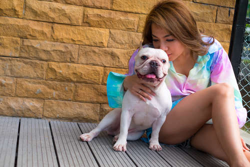 動物,犬,猫,しつけ,飼い方,育て方,病気,健康