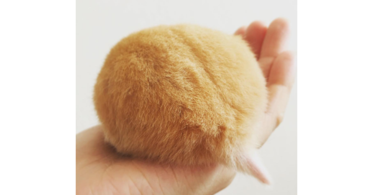 【8月6日はハムスターの日!】自慢のハムケツをご覧あれ♪ おしりに恋する写真集(*´ェ`*)♡ 7枚