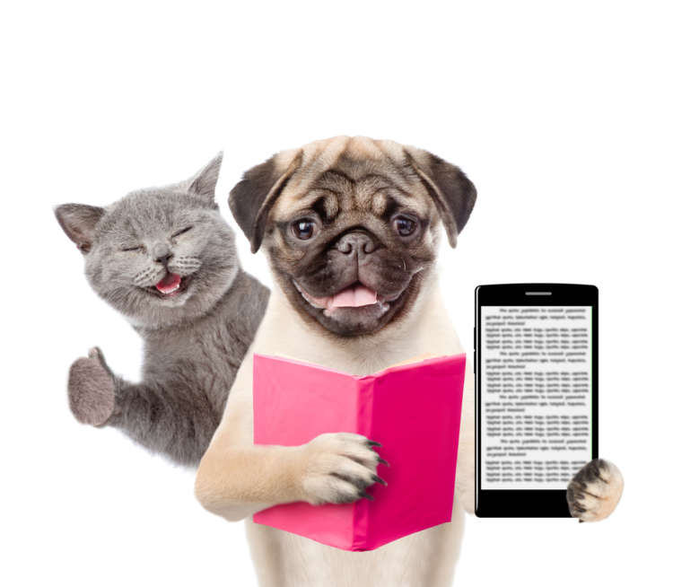 楽しすぎて思わずハマってしまう! 犬好き&猫好きのあなたにオススメの、無料アプリ8選を紹介