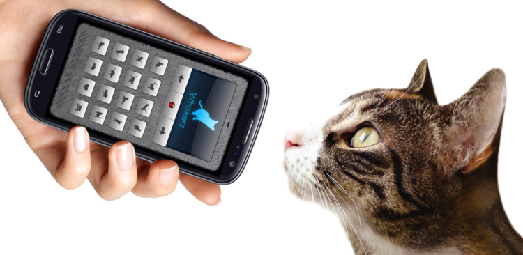 動物,犬,猫,しつけ,飼い方,育て方,病気,健康