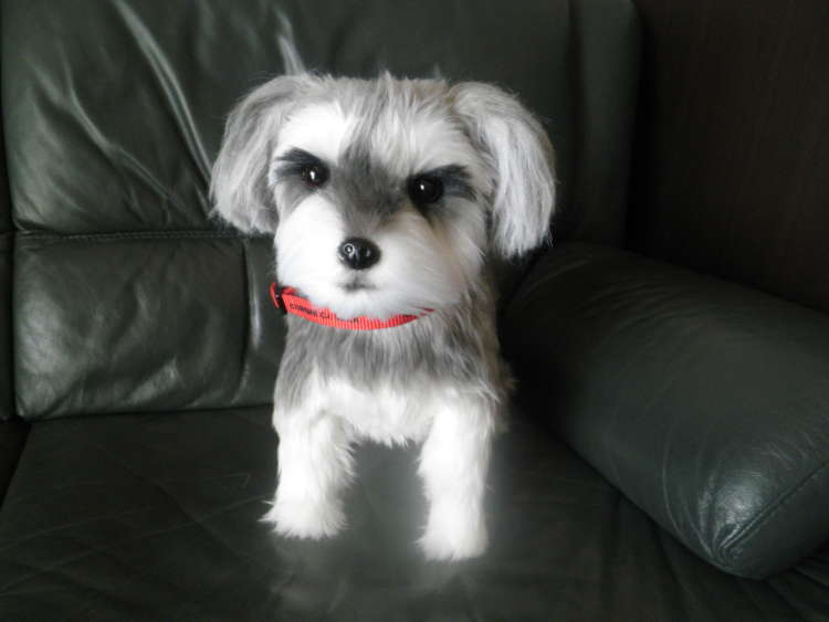 離れてしまっても、ずっとそばに… オーダーメイドぬいぐるみでたどる愛犬の思い出