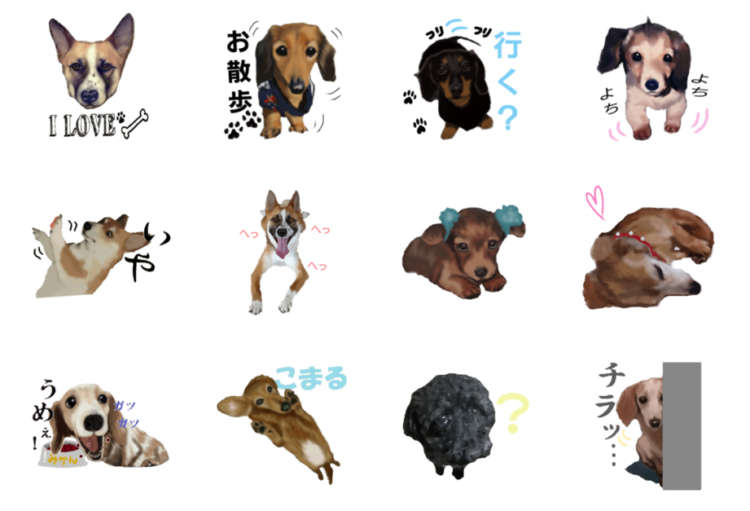 動物,犬,猫,しつけ,飼い方,育て方,病気,健康