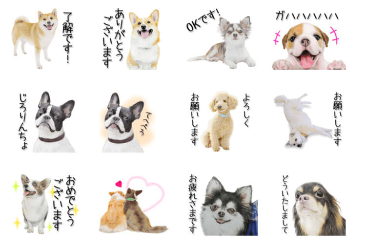 動物,犬,猫,しつけ,飼い方,育て方,病気,健康